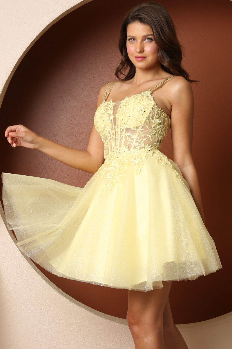 Embellished Beads Bodice Short Dress